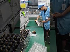 بريسک اسپرينگ