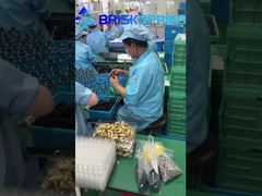 40 100 میکران کل خانه چرخش پایین رسوب دوگانه فیلتر کردن رسوب پیش فیلتر قابل استفاده مجدد