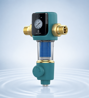 BriskSpring SQ550B-BS 5 T / H خودکار سیفون پسشویی پیش فیلتر آب کل خانه با رسانه های MSAP + CASO3 + KDF55