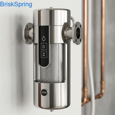 6T H 316L فولاد ضد زنگ فلتر آب قبل از کل خانه با کنترل لمسی