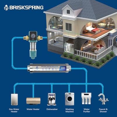 BriskSpring SQ550B-BS 5 T / H خودکار سیفون پسشویی پیش فیلتر آب کل خانه با رسانه های MSAP + CASO3 + KDF55