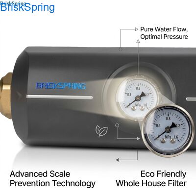 محیط زیست دوستانه غیر سمی ABS بدن ضد چشمی فیلتر کل خانه آب Descaler
